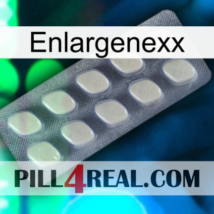 Enlargenexx 08